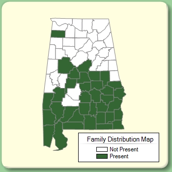 Family Distribution Map