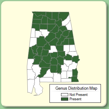 Genus Distribution Map