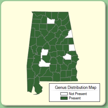 Genus Distribution Map