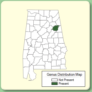 Genus Distribution Map