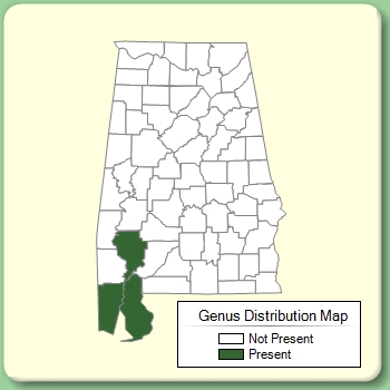 Genus Distribution Map