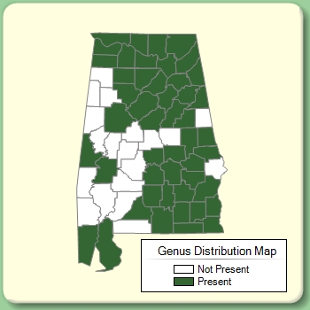 Genus Distribution Map