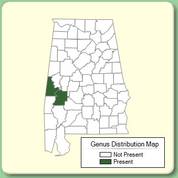 Genus Distribution Map