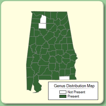 Genus Distribution Map