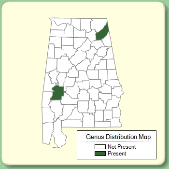 Genus Distribution Map