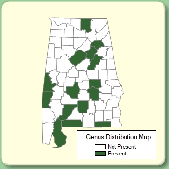 Genus Distribution Map