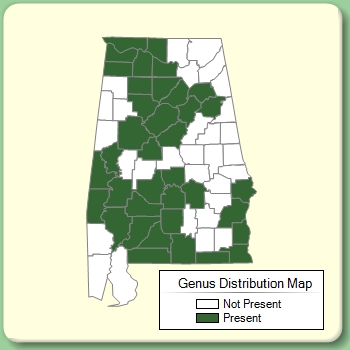 Genus Distribution Map