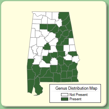 Genus Distribution Map