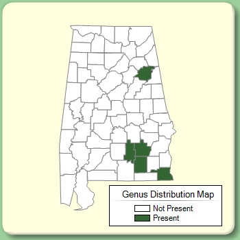 Genus Distribution Map