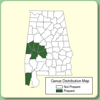 Genus Distribution Map