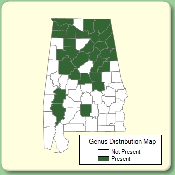 Genus Distribution Map