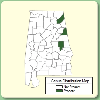 Genus Distribution Map