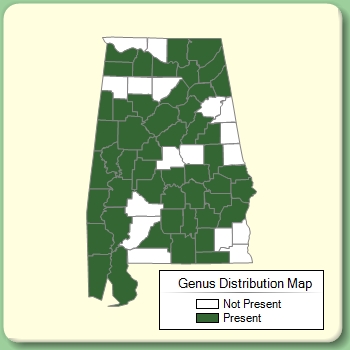 Genus Distribution Map