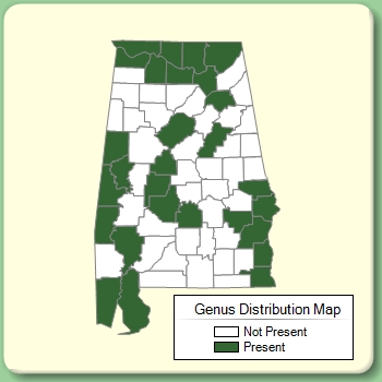 Genus Distribution Map