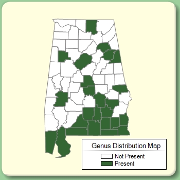 Genus Distribution Map