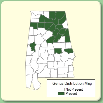 Genus Distribution Map