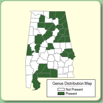 Genus Distribution Map