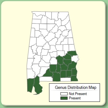 Genus Distribution Map