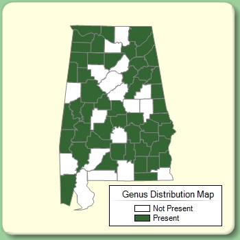 Genus Distribution Map