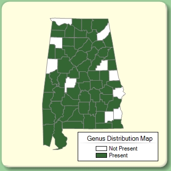 Genus Distribution Map