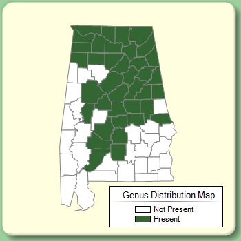 Genus Distribution Map