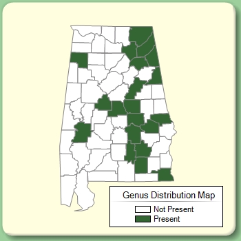 Genus Distribution Map