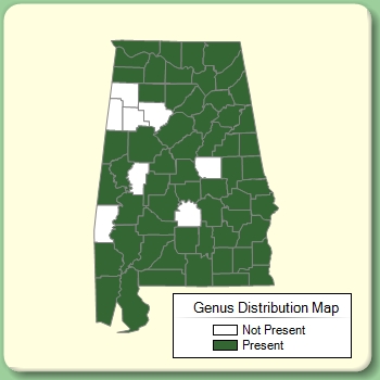 Genus Distribution Map