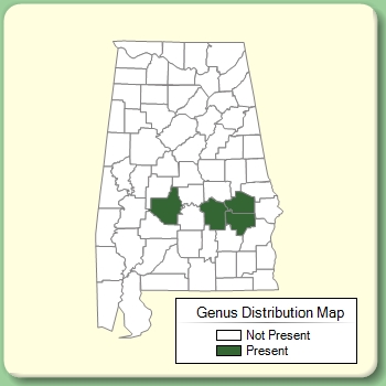 Genus Distribution Map