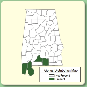 Genus Distribution Map