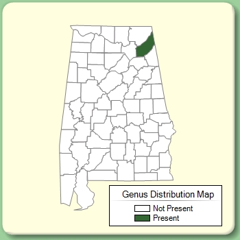 Genus Distribution Map