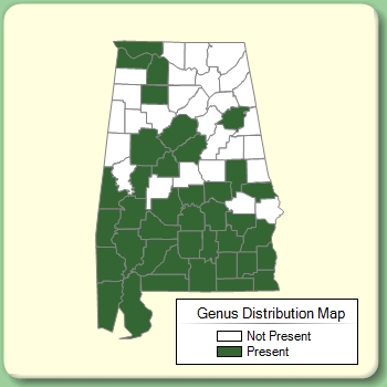 Genus Distribution Map