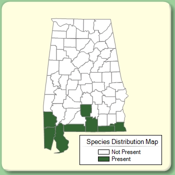 Species Distribution Map