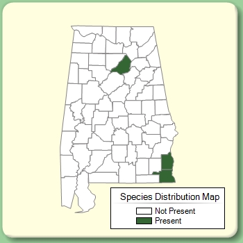 Species Distribution Map