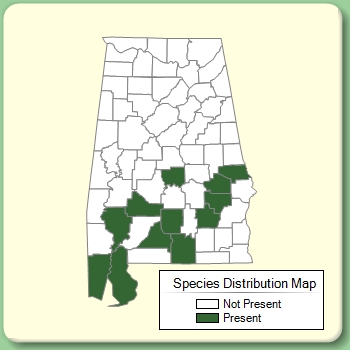 Species Distribution Map