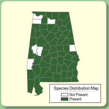 Species Distribution Map