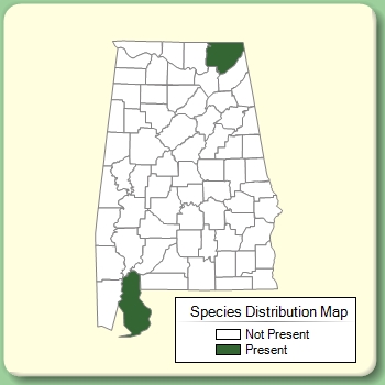 Species Distribution Map