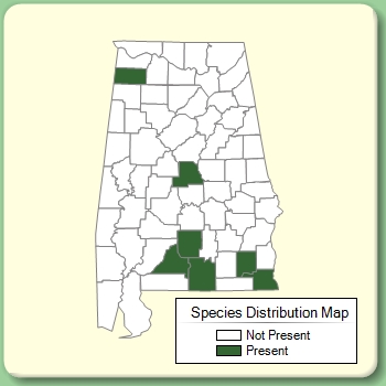 Species Distribution Map