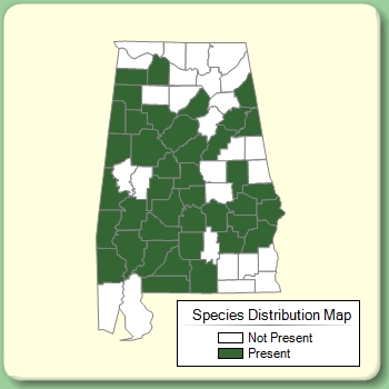 Species Distribution Map