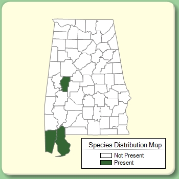 Species Distribution Map