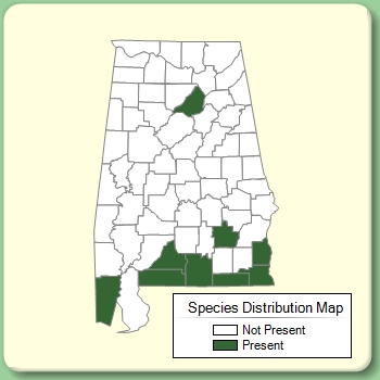 Species Distribution Map