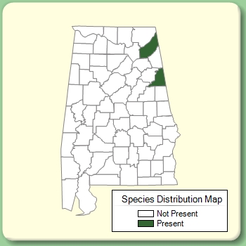 Species Distribution Map