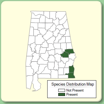 Species Distribution Map