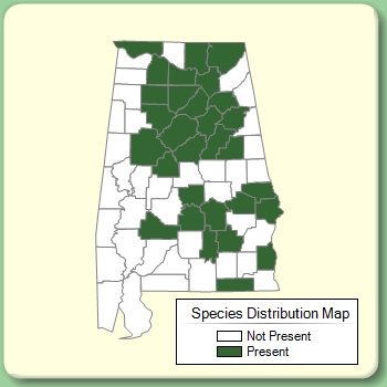 Species Distribution Map