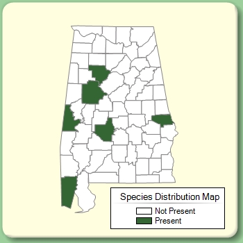 Species Distribution Map